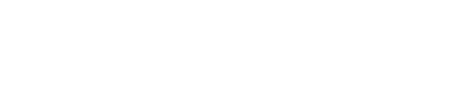 Avinasi Labs